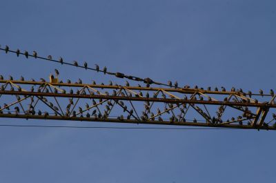 3138x50.jpg