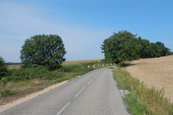 Slide21