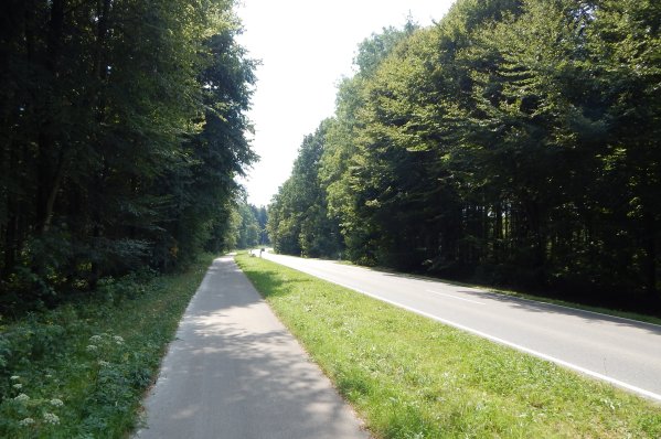 Slide5