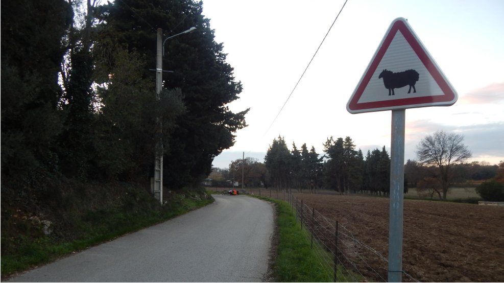 Slide7